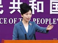 商务部会同有关地方和部门 推动自贸试验区取得一系列突出成果