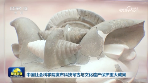 中国社会科学院发布科技考古与文化遗产保护重大成果