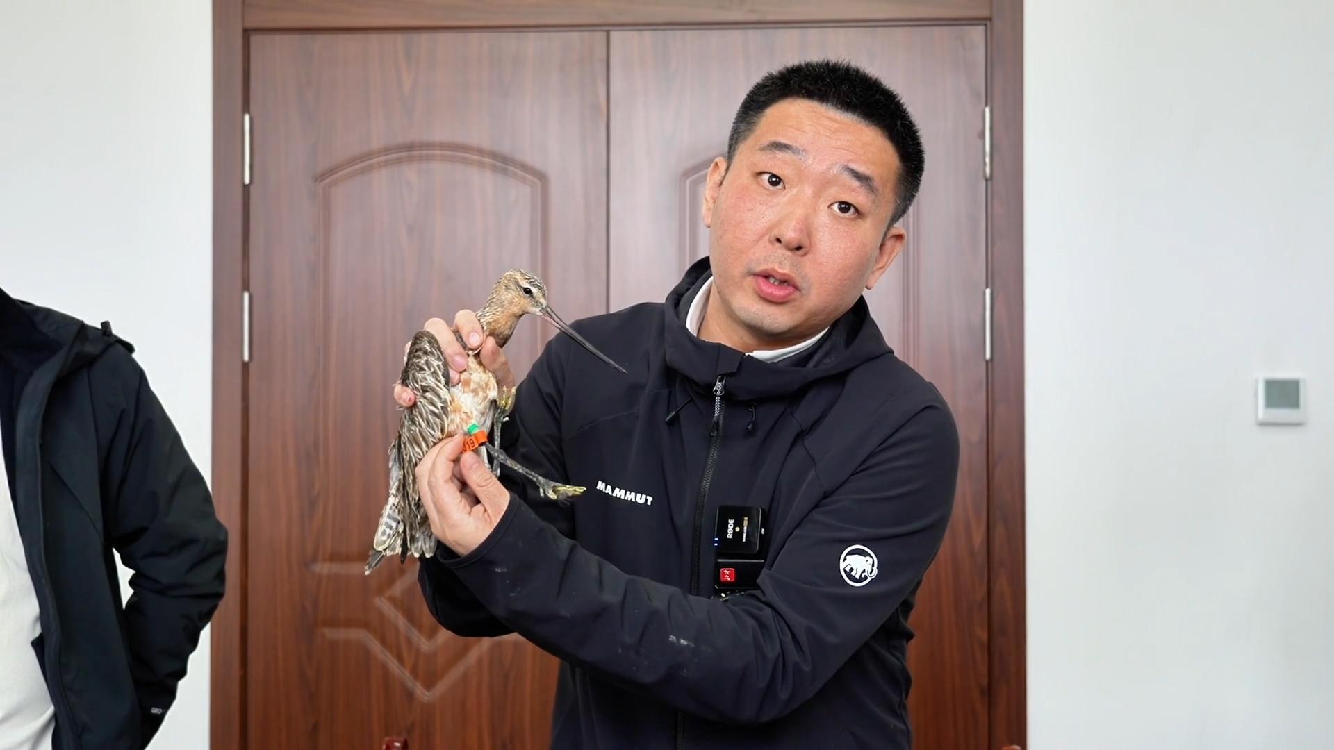 【人民映像】马力：为候鸟迁飞护航