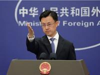 外交部：中方歡迎越南成為金磚伙伴國