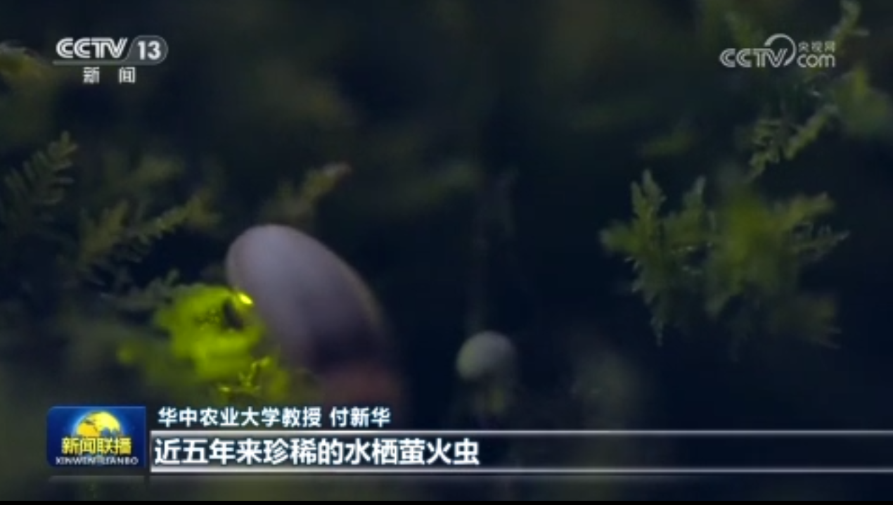 視頻感知生態之變母親河重現生機與活力