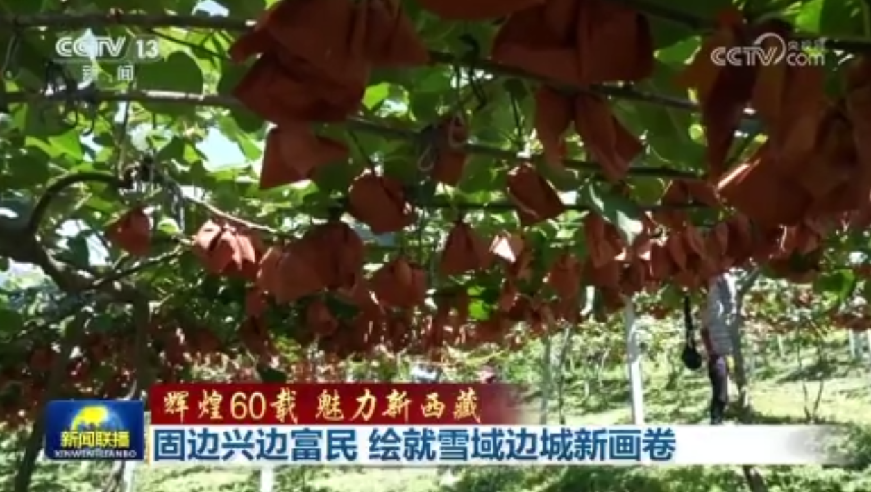 視頻輝煌60載 魅力新西藏固邊興邊富民 繪就雪域邊城新畫卷
