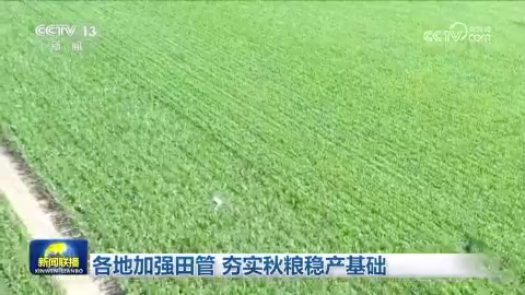 各地加强田管 夯实秋粮稳产基础