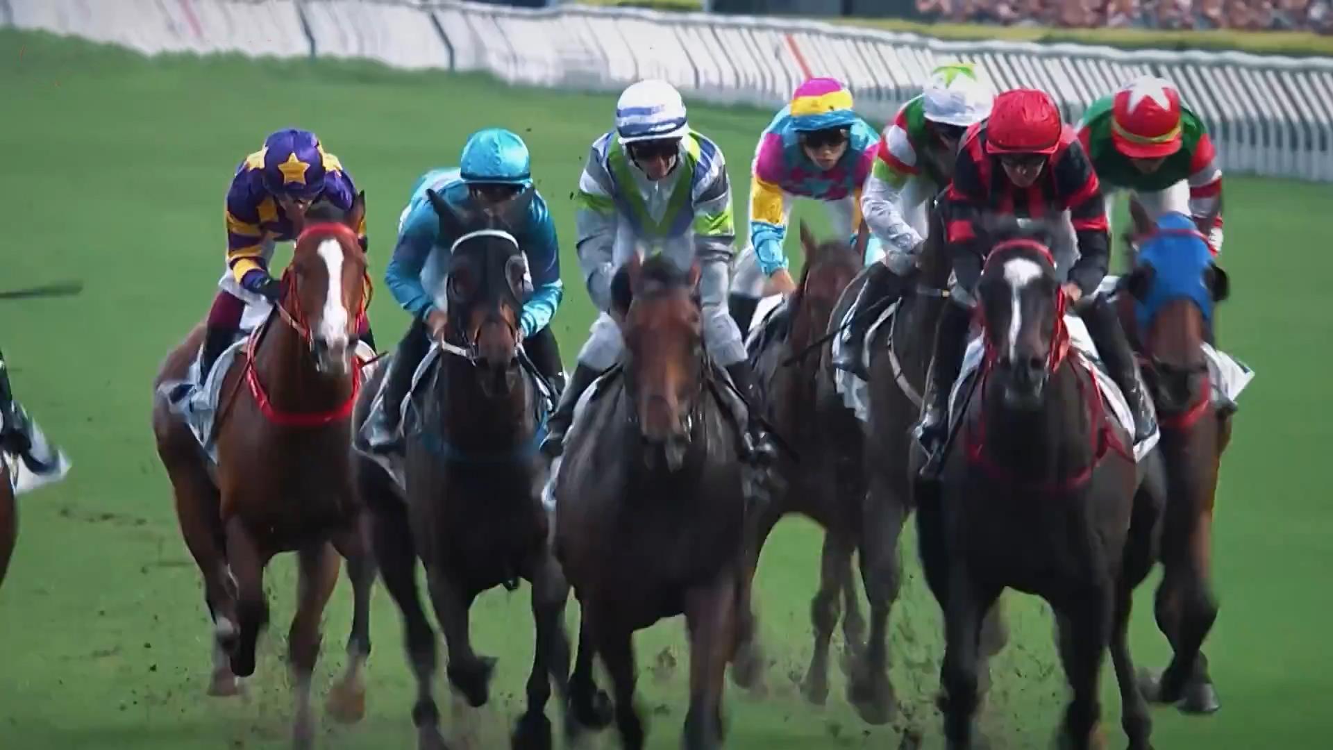 香港赛马会新马季即将开 打造赛马旅游新亮点
