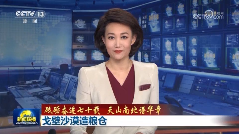 【砥砺奋进七十载 天山南北谱华章】戈壁沙漠造粮仓