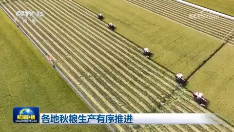 各地秋糧生產有序推進