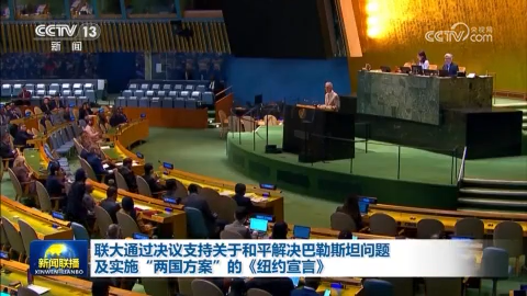 联大通过决议支持关于和平解决巴勒斯坦问题及实施“两国方案”的《纽约宣言》