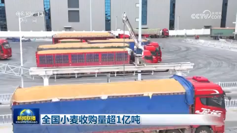 全國小麥收購量超1億噸