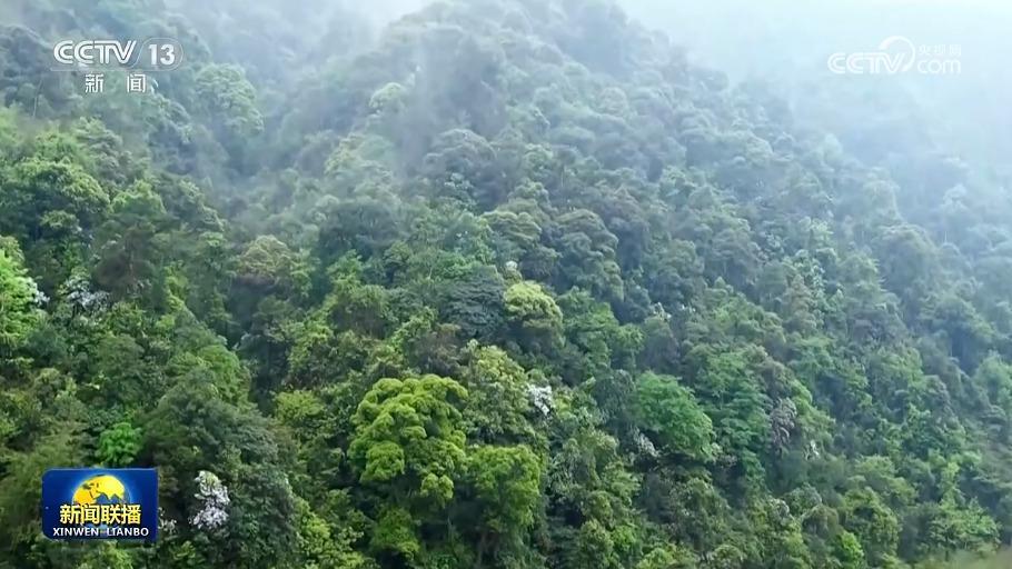 第五屆世界生物圈保護區大會將在杭州召開