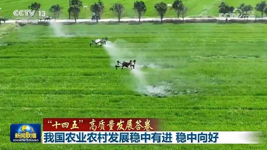 【“十四五”高質量發展答卷】我國農業農村發展穩中有進 穩中向好