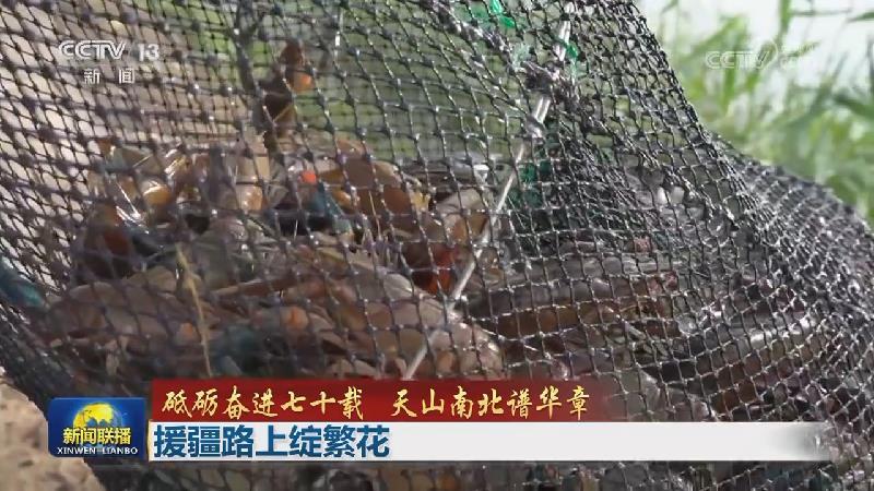 【砥砺奋进七十载 天山南北谱华章】援疆路上绽繁花