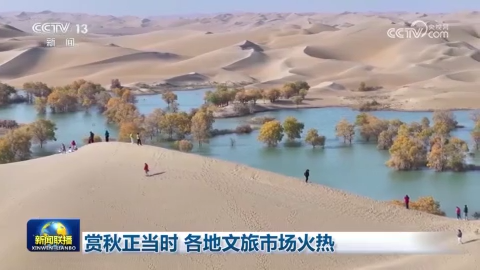 賞秋正當時 各地文旅市場火熱