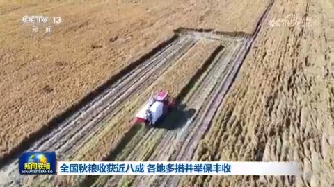 全國秋糧收獲近八成 各地多措並舉保豐收