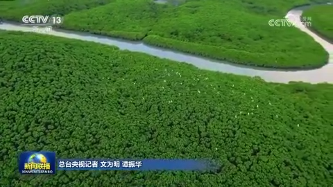 我国生态保护红线内生态系统质量稳步改善