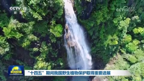 “十四五”期间我国野生植物保护取得重要进展