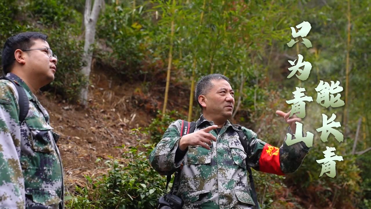 【人民映像】王山青：只为青山能长青