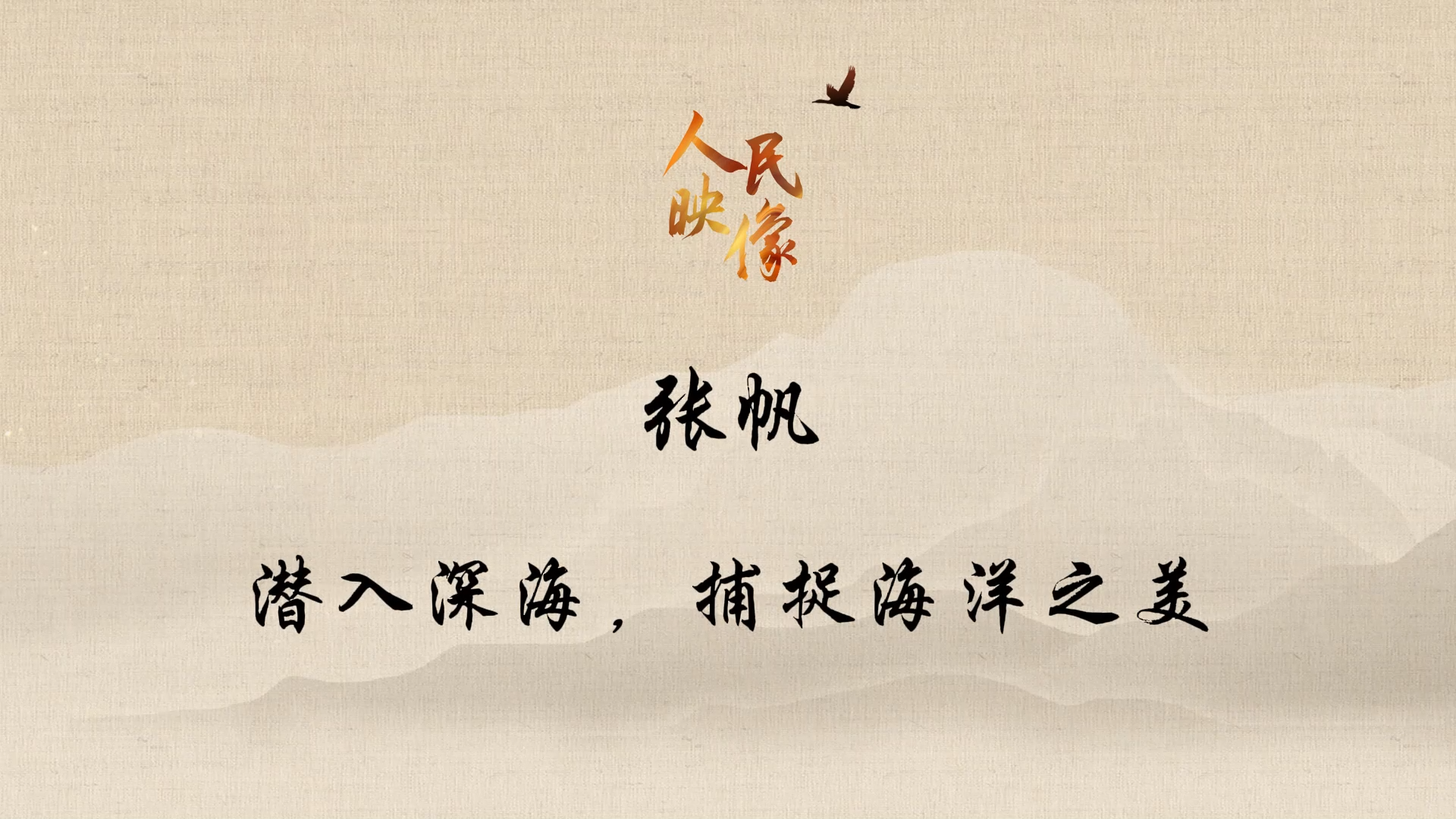 【人民映像】張帆：潛入深海，捕捉海洋之美